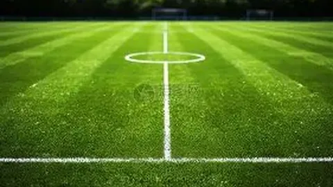 罗纳尔多二次发声：狱后生活艰辛，60天软禁倍感漫长