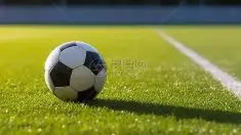 金贝娱乐 产品 112032 5xg