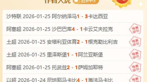 新西南联 塞尔温联合vs诺美德斯